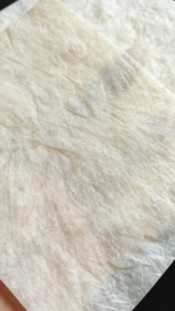 Single dry rice paper sheet, closeup