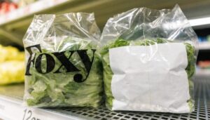 Is Foxy Lettuce From Taylor Farms? The Real Connection Explained a-bag-of-foxy-brand-lettuce-sitting-next-to-a-plai