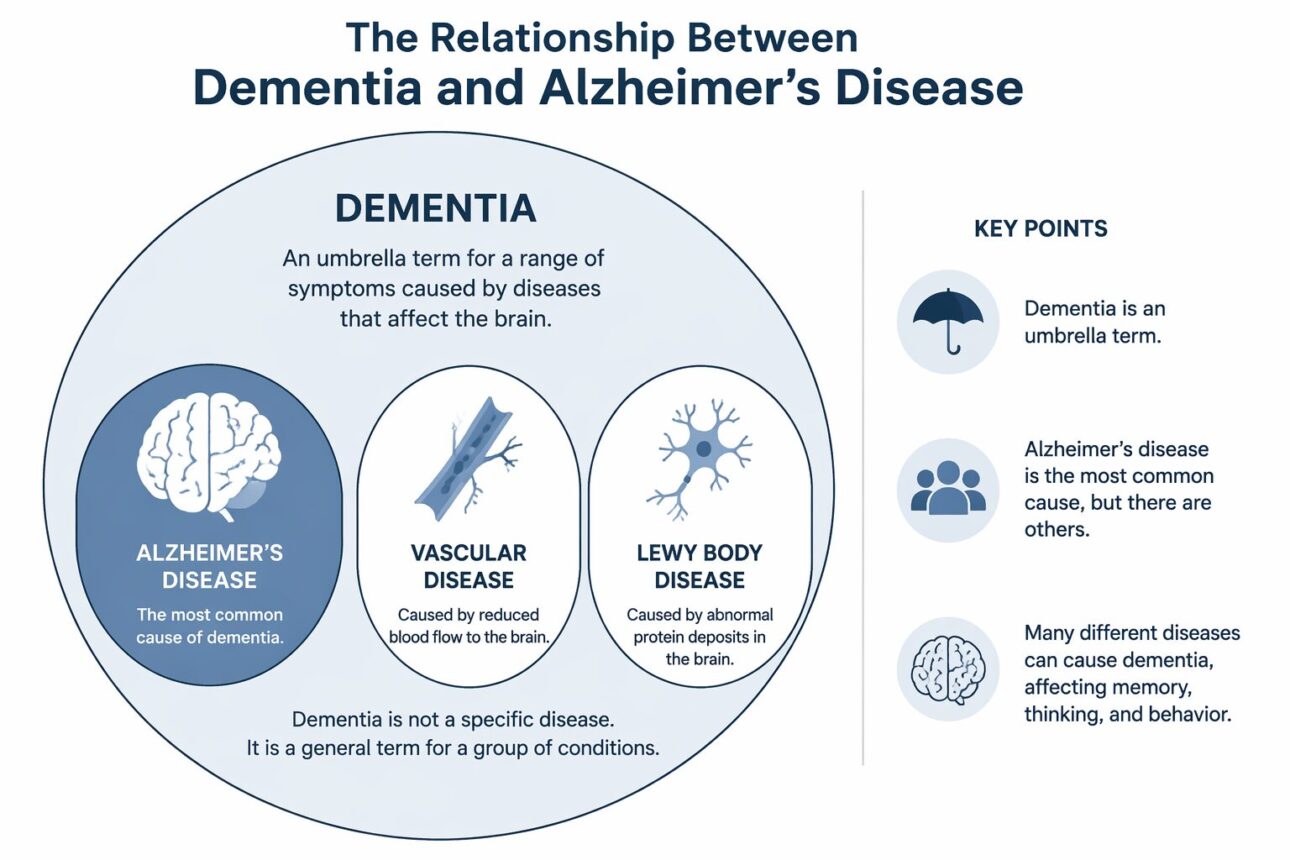 Dementia vs Alzheimer's: Complete Guide to Understanding the Difference 3 Dementia vs. Alzheimer's: Defining the Core Concepts